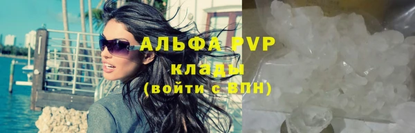 ПСИЛОЦИБИНОВЫЕ ГРИБЫ Богородицк