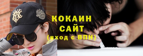 амф Богданович