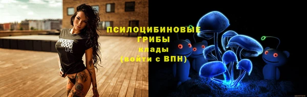 Альфа ПВП Белокуриха