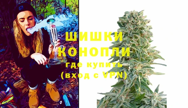 ПСИЛОЦИБИНОВЫЕ ГРИБЫ Богородицк
