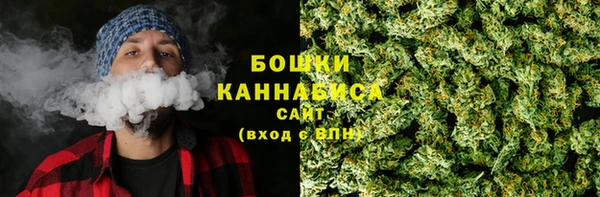 ПСИЛОЦИБИНОВЫЕ ГРИБЫ Богородицк