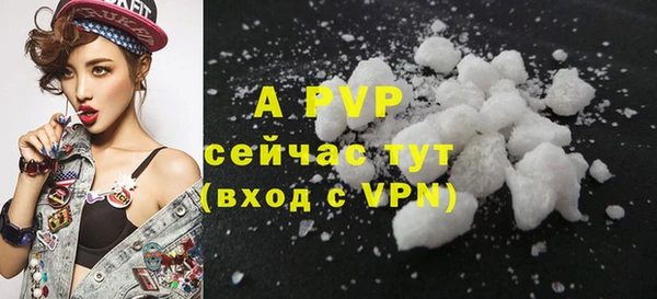 ПСИЛОЦИБИНОВЫЕ ГРИБЫ Богородицк