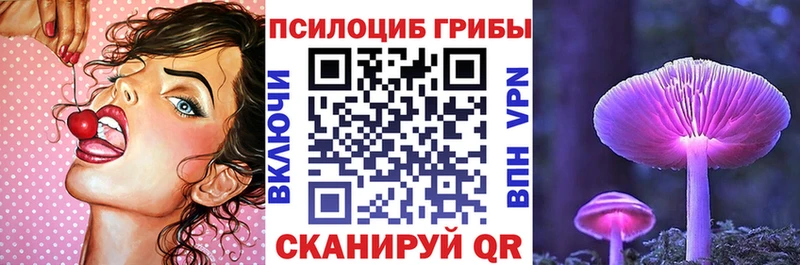 shop какой сайт  Гремячинск  Псилоцибиновые грибы Magic Shrooms 